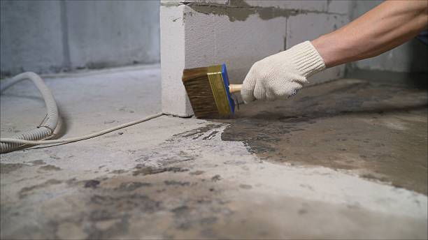 24/7 Emergency Basement Waterproofing experts in Princeton, NC